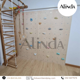 Gym Climbing Wall