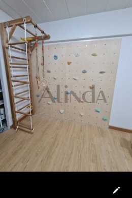 Gym Climbing Wall
