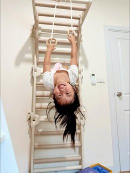 Gym Climbing Wall