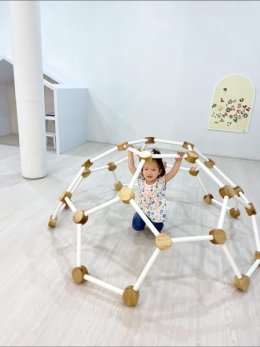 Gym Climbing Wall