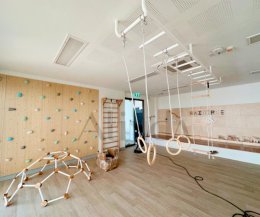 Gym Climbing Wall