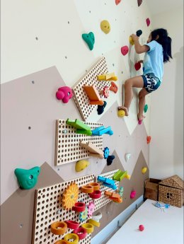 Gym Climbing Wall