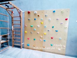 Gym Climbing Wall