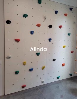 Gym Climbing Wall