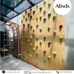 Gym Climbing Wall