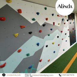 Gym Climbing Wall