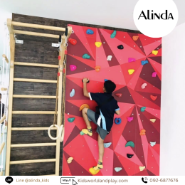 Gym Climbing Wall