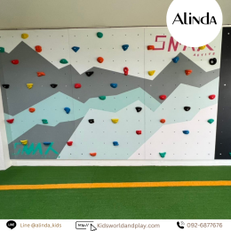 Gym Climbing Wall