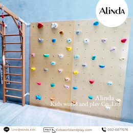 Gym Climbing Wall