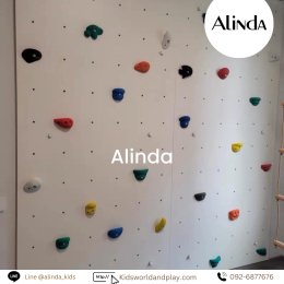 Gym Climbing Wall