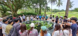 BBA65 - STRATEGIC MANAGEMENT