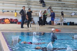 Survival 101 - Swimming Skill Training (BBA66)