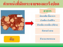 มะเร็งปอด โรคภัยใกล้ตัว ป้องกันดูแลรักษาด้วยวิธีแพทย์จีน