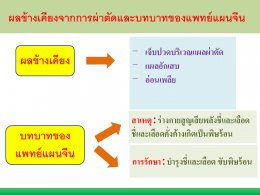 มะเร็งปอด โรคภัยใกล้ตัว ป้องกันดูแลรักษาด้วยวิธีแพทย์จีน