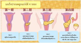 มะเร็งปากมดลูก ในแพทย์แผนจีน