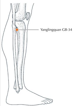 ทุยหนากับการรักษาอาการตะคริวด้วยศาสตร์การแพทย์แผนจีน