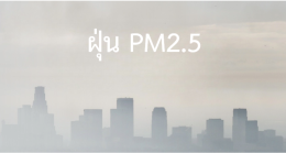 บำรุงปอด สู้ฝุ่น PM2.5