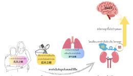 บำรุงไต บำรุงสมอง