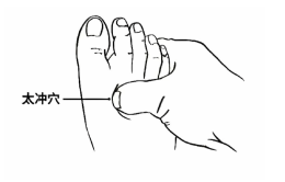 จุดบำรุงอวัยวะทั้งห้า