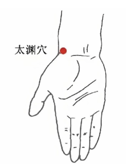 จุดบำรุงอวัยวะทั้งห้า