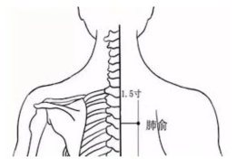 จุดบำรุงอวัยวะทั้งห้า