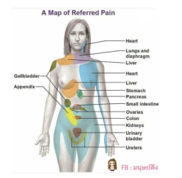 ปวดกล้ามเนื้อทำไมนวดเองไม่หาย