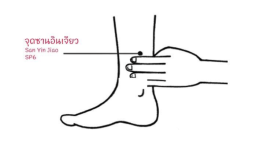 กลไกการออกฤทธิ์ของจุดซานอินเจียว