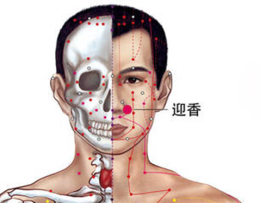 ลูกน้อยแพ้ง่ายเกิดจากอะไร？ภูมิแพ้ในเด็กกับแพทย์แผนจีน