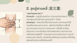 สูงวัยอย่างสมดุล ตามแนวคิดแพทย์แผนจีน