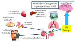 สมองเสื่อมในทางการแพทย์แผนจีน