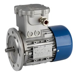 มอเตอร์กันระเบิด (Explosion Proof Motors) คืออะไร?