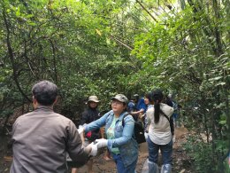 21, 24, 29 September 2020 at Thap Lan National Park in Prachin Buri  province to construct Check Dams and  make Artificial Salt Licks .