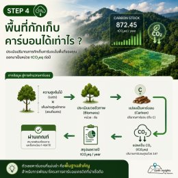 พื้นที่ปลูกต้นไม้ของเรา สร้างรายได้จากคาร์บอนเครดิตได้หรือไม่?