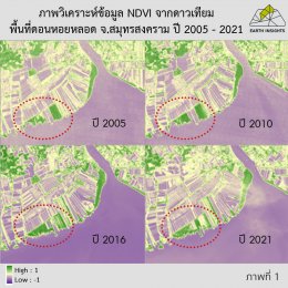 สังเกตการเปลี่ยนแปลงของป่าชายเลนจากข้อมูลภาพถ่ายดาวเทียม