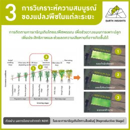 NDVI คืออะไร สามารถนำมาประยุกต์ใช้กับการเกษตรได้อย่างไร ? 