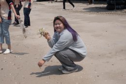 กิจกรรมเก็บขยะบริเวณริมชายหาดบางแสน ในโครงการ Heart for Thai Sea Restoration