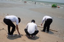 กิจกรรมเก็บขยะบริเวณริมชายหาดบางแสน ในโครงการ Heart for Thai Sea Restoration
