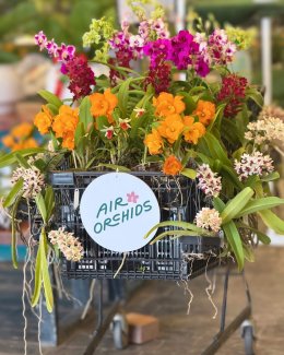 เยี่ยมชม Air Orchids Supermarket & Lab จังหวัดนครปฐม