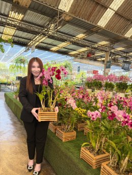 เยี่ยมชม Air Orchids Supermarket & Lab จังหวัดนครปฐม