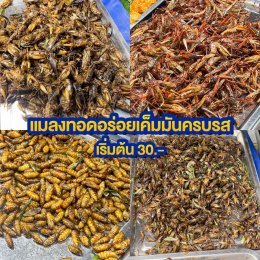 สายช้อปสายกินห้ามพลาด!