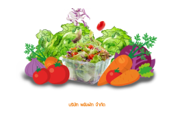 บริษัท พลังผัก จำกัด ประกาศรับสมัครงาน