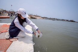 กิจกรรมจิตอาสา เรียนรู้วิถีชีวิตชุมชน และร่วมอนุรักษ์ทรัพยากรทางทะเล ผ่านการปล่อยลูกปูม้า  ณ ธนาคารปูม้า ตำบลอ่างศิลา อำเภอเมืองชลบุรี จังหวัดชลบุรี