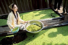 โครงการ "พัฒนาศักยภาพบัณฑิตผ่านการบูรณาการการเรียนรู้ วิจัย และวัฒนธรรม" ณ ฟาร์มไก่ไข่อารมณ์ดี by น้องมด และน้องมดเจริญการค้า อ.สวนผึ้ง จ.ราชบุรี 