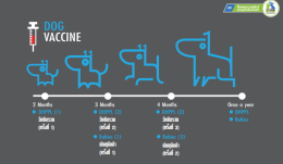 โปรแกรมวัคซีนสำหรับสุนัข