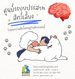 ศูนย์โรคระบบประสาทสัตว์เลี้ยง - โรงพยาบาลสัตว์เศรษฐกิจสัตวแพทย์