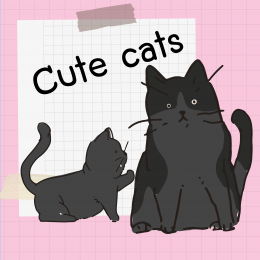 Cute cats