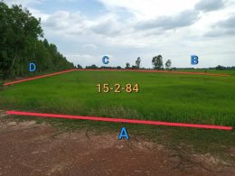 EHL - 212937 ที่ดินเปล่า ต.สมอแข อ.เมืองพิษณุโลก จ.พิษณุโลก