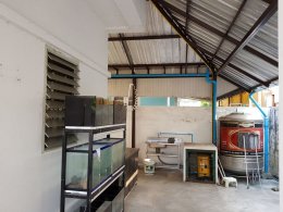 EHL - 212973 บ้านเดี่ยว หมู่บ้านลลิล ซ สุขาภิบาล 5 ซอย 63