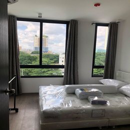 EHL - 213160 Lyss Ratchayothin (ลิสส์ รัชโยธิน)