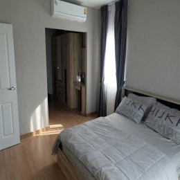 EHL - 213362 เดอะ แพลนท์ ซิมพลีส พหลโยธิน-สายไหม